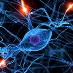 مقاله انواع شبکه های عصبی و کاربرد آنها در الکترونیک