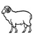 sheep-Lanolin