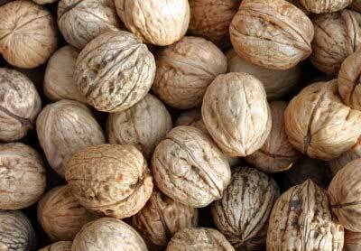 walnuts_Food