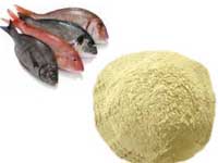 Fishmeal production