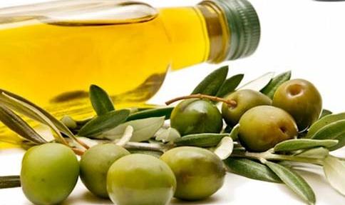 Olive oil plan
