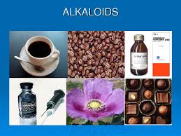 Alkaloids project