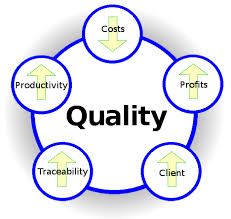 Quality management in the company Marlik Sun