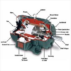 Research the electric motor and its variants