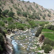 Environmental pollution of rivers Paper kohgiloyeh