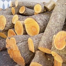 Wood products and Applications