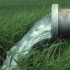 مقاله کاربرد آب مغناطیسی در کشاورزی