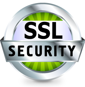 The SSL security paper