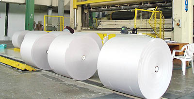 Paper pulp and paper industry