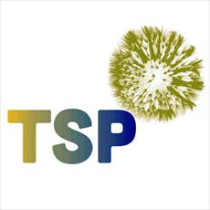 The TSP graph