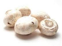 This edible mushrooms