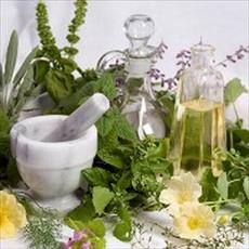 Herbal essences and their properties