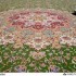 مقاله فرش های بافته ایران