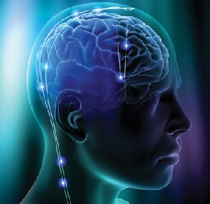 Article Neuropsychology