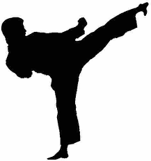 Paper Sports Karate