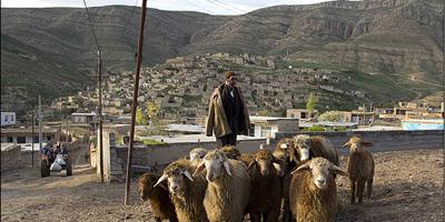 Rural research in Iran