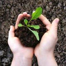 PowerPoint efficiency of organic fertilizers with an emphasis on composting