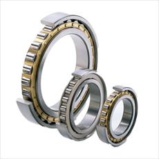 Standards of rolling bearings and seals