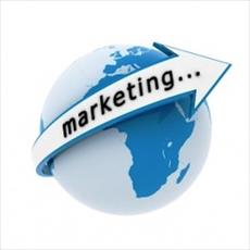 Marketing research (Marketing)